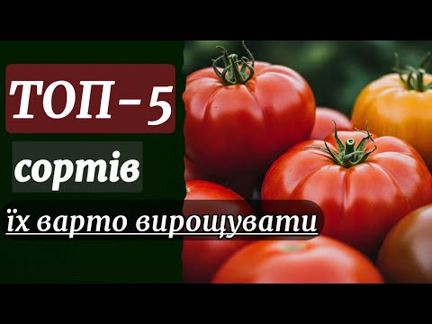 Видео: Топ-5 врожайних та смачних сортів томатів для відкритого ґрунту #сорт #томат