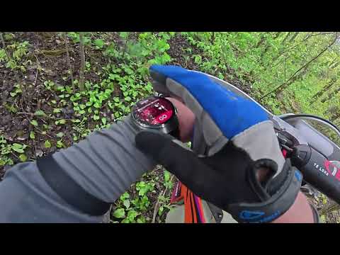 Видео: Вечерний Фрирайд  Лисье царство-04.05.2025