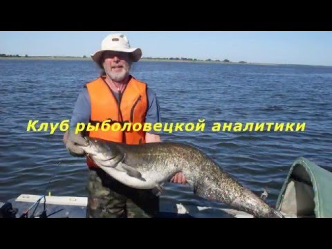 Видео: Когда сом активен. Как избежать ненужной усталости. Юрий Философ 2015 год.