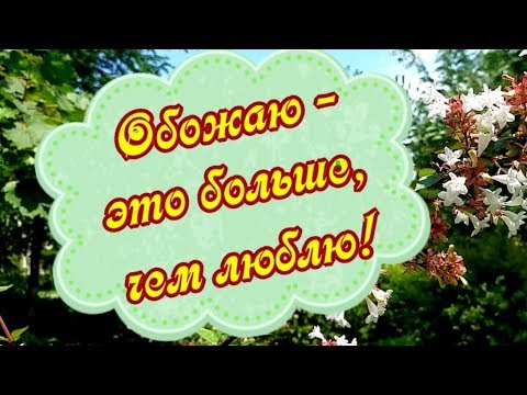 Видео: Обожаю - это больше, чем люблю!