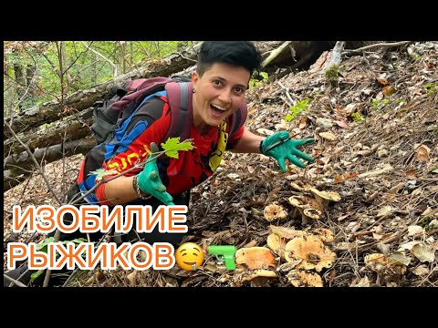 Видео: ВОТ ОНИ!! Нашли НЕТРОНУТОЕ место с РЫЖИКАМИ