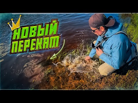 Видео: ПЕРЕКАТЫ ОЖИВАЮТ! Поклёвки как молотком по рукам! Голавль и жерех не пропустят эти приманки.