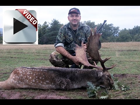 Видео: Лов на елен лопатар и муфлон в ДЛС Арамлиец