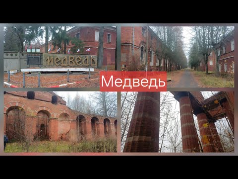 Видео: Путешествие во времени. Медведь