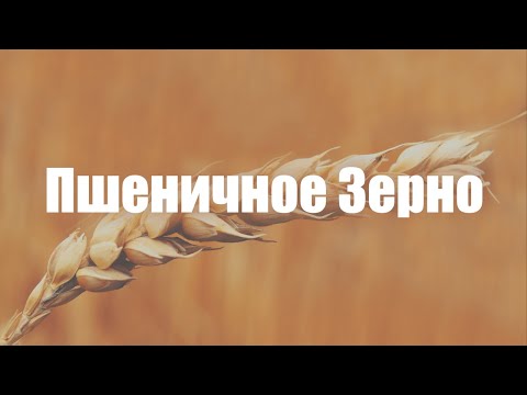 Видео: Пшеничное Зерно - Денис Дмитров