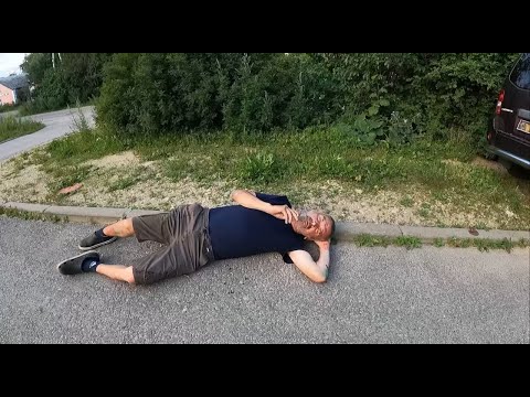 Видео: Владыка с Мамой, поехали в город. Летучий голландец голодает, Сечин начальник, Кормим бродяжек'