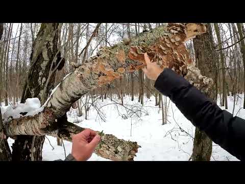 Видео: Для новичков: Межсезонье...
