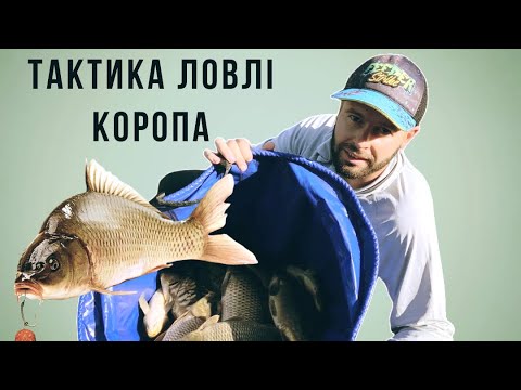 Видео: Тактика ловлі Коропа на флет ! Wafters or Pop-up ? Водойма «Долина Озер»