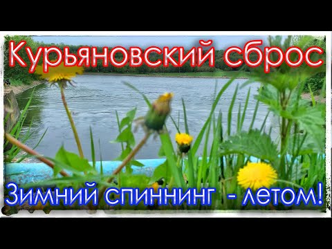 Видео: Курьяновский сброс. Зимний спиннинг - летом. Мормышинг