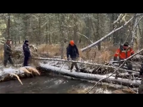 Видео: Они не заблудились Усольцевы Красноярск могут быть живы в неожиданном месте