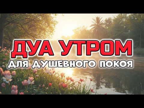 Видео: 🌸 ДУА УТРОМ ДЛЯ СПОКОЙСТВИЯ ДУШИ 🤲✨