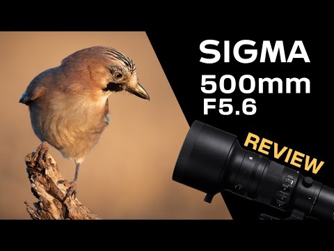 Видео: Sigma 500mm F5.6 DG DN OS ревю и полеви тест
