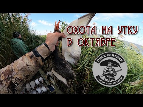 Видео: Море-Утки-Два ствола. Охота на утку в октябре.