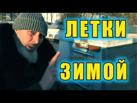 Видео: ЛЕТКИ ЗИМОЙ. ЗАКРЫВАТЬ ИЛИ ОТКРЫВАТЬ?