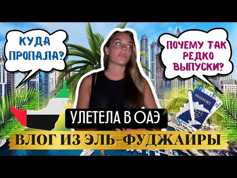 Видео: Улетела в ОАЭ. Пока без треш -салонов. Miramar Al Aqah Beach Resort 5*. Фуджейра.