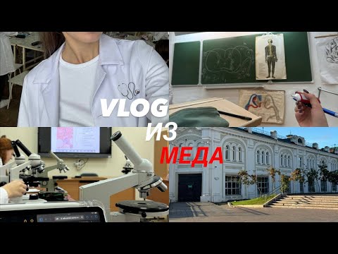 Видео: VLOG//ПЕРВАЯ НЕДЕЛЯ 2 КУРСА//МОИ ПРИВЫЧКИ//СДАЛА НА ПРАВА???//ОмГМУ