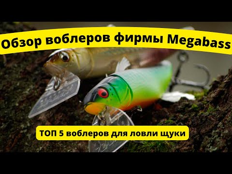 Видео: Обзор воблеров фирмы Megabass. Топ 5 воблеров для ловли щуки. Приманки из моих коробок. Часть 1.