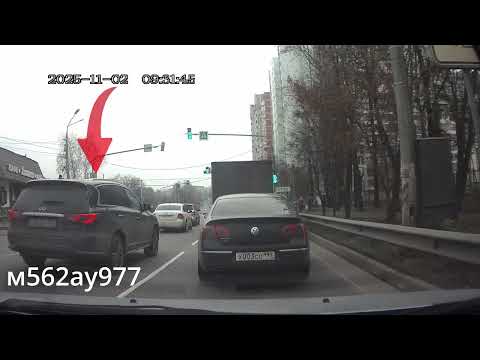 Видео: Баклан на финике