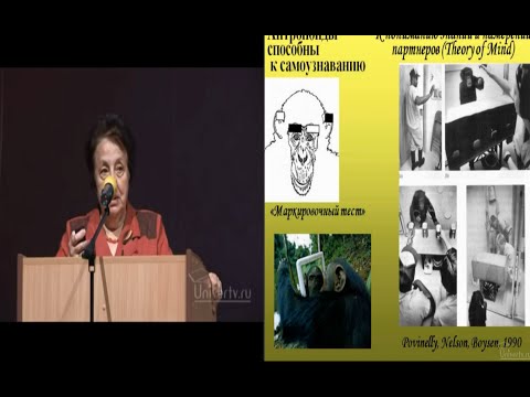 Видео: Зорина Зоя - Мышление животных
