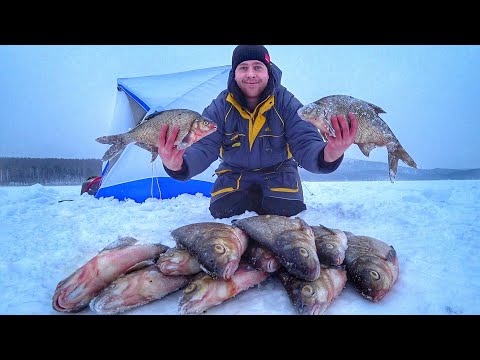 Видео: ЛЕЩ КЛЮЕТ ВСЮ НОЧЬ! Ночная ловля леща зимой в палатке. Лещ на коромысло