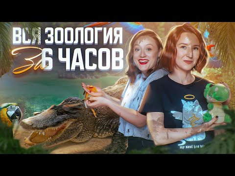 Видео: Вся зоология за 6 часов | ЕГЭ-2025 по биологии