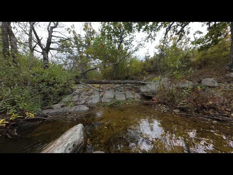 Видео: Хамбар дере, общ. Крумовград  12.10.2025 година