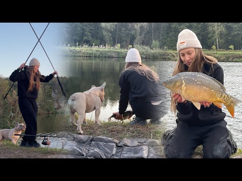 Видео: Коропи не дають спокою. КЛЮЮТЬ  ДУПЛЕТАМИ! Риболовля з пригодами, напали ОСИ 🐝 🤣