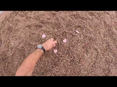 Видео: ПЛЯЖНЫЙ КОП В ЧЕРНОГОРИИ! ПИРАТ в поисках СОКРОВИЩ!