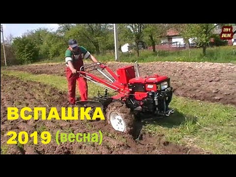 Видео: ✅Мы пахали — я и мотоблок! Вспашка 2019 плугом ПЛ-4, наступил на те же грабли