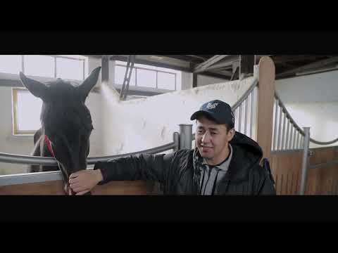 Видео: Ұшқыр бәйге, әлемдегі ең қымбат жылқы... Табылдиев Нұржігітпен