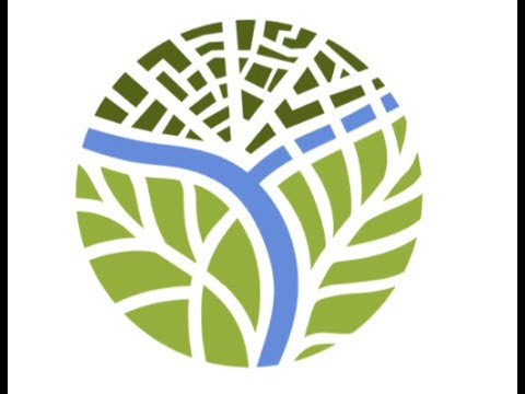 Видео: Лекция про Водно-зеленую городскую инфраструктуру