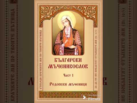 Видео: МЪЧЕНИЦИ ОТ БОРОВО