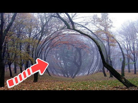 Видео: "Аномальное место". Мистика в реальной жизни.