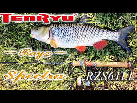 Видео: Обзор Tenryu Rayz Spectra RZS61LL на весенних рыбалках. 61-ая Спектра, малая река и голавли. v.1.1