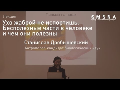 Видео: Станислав Дробышевский. Лекция «Ухо жаброй не испортишь. Бесполезные части в человеке»