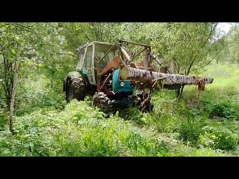 Видео: Работа трактора Т-40АМ в лесу