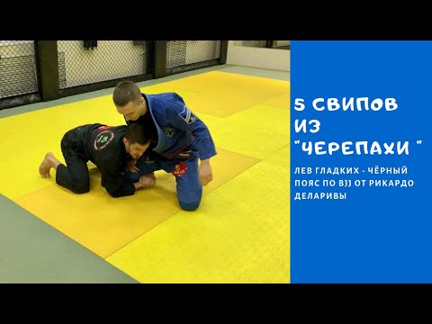 Видео: Свипы из “черепахи”. Обзор вариантов проходом в ногу ( Лев Гладких )