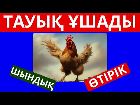 Видео: ШЫН БА , ӨТІРІК ПЕ?😂🧐 ҚЫЗЫҚТЫ ФАКТІЛЕРДІ БІЛЕСІН БЕ КӨРЕЙІК!