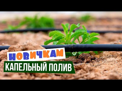 Видео: Капельный полив. Обзор-инструкция от А до Я.