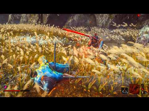 Видео: членами бьют по лбу в данной видеоигре...