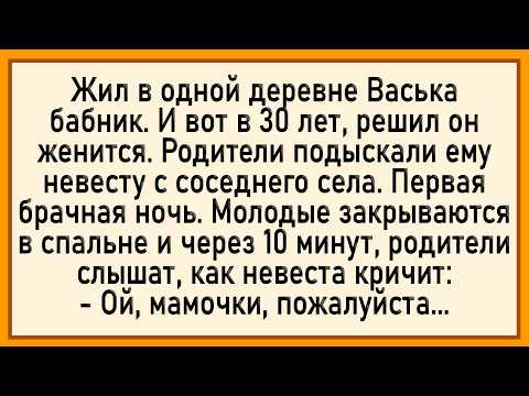Видео: Как Васька решил невесте... Сборник свежих анекдотов! Юмор!