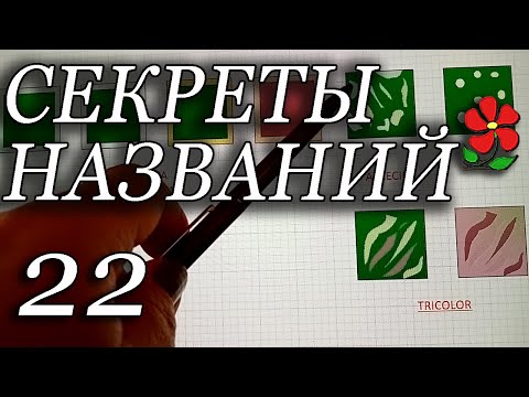 Видео: Узнать растение по названию! Форма кроны, цвет листвы и другие нюансы. Курсы. Занятие 22.
