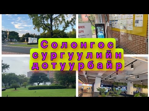 Видео: Солонгос сургуулийн дотуур байр 🏫❤️