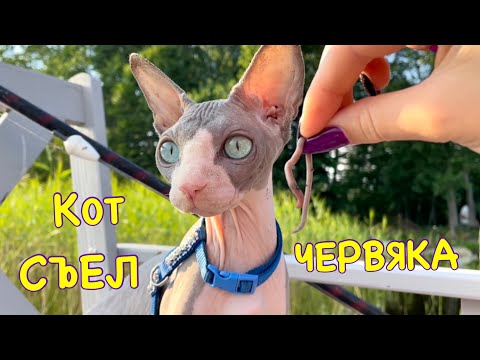 Видео: 24 Часа на РЫБАЛКЕ Челлендж 😱
