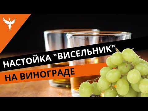 Видео: рДЖ 51: Настойка висельник на винограде. Зимний Мускат - самый "насыщенный" висельник из всех