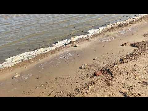 Видео: 2 октября 2025 г.