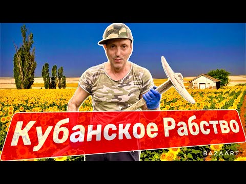 Видео: Уехали на Кубань! Жизнь в Станице. Рыбалка на Кубани! База отдыха на реке!