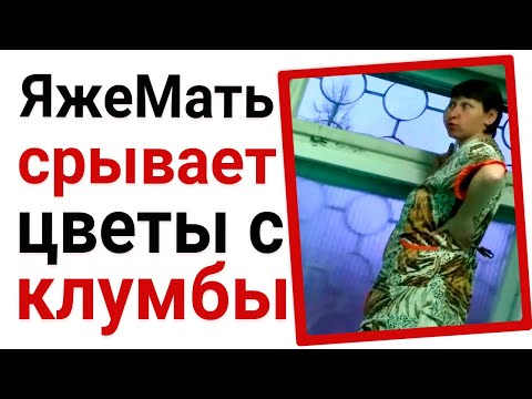 Видео: Яжемать срывает цветы с клумбы. Яжемать истории