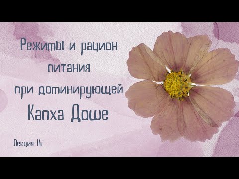 Видео: Капха Доша