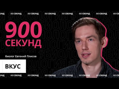 Видео: Что такое вкус? Сколько их? И зачем распознавать вкусы? Узнай за 900 секунд